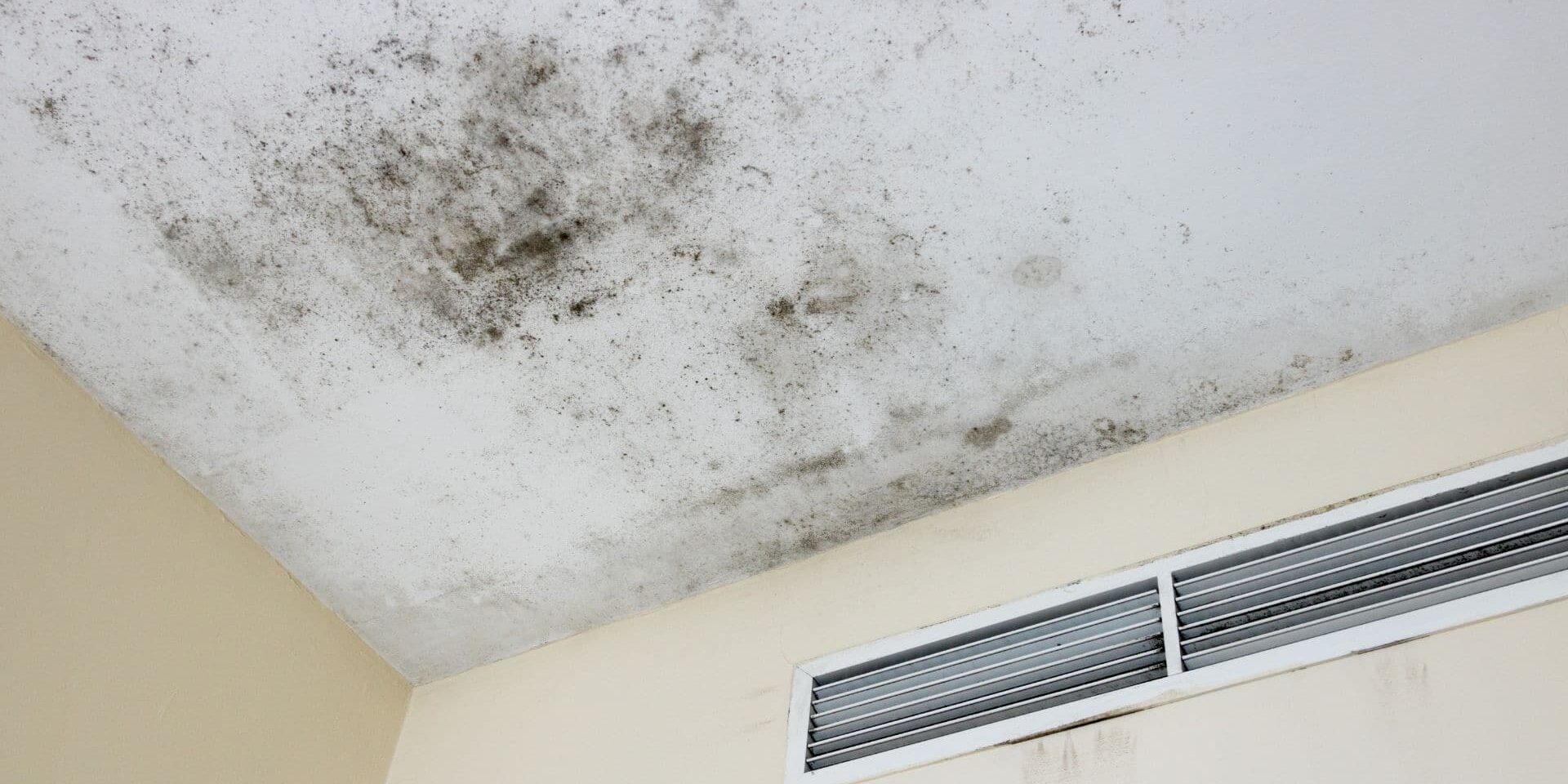 how to prevent mold and mildew in your garage