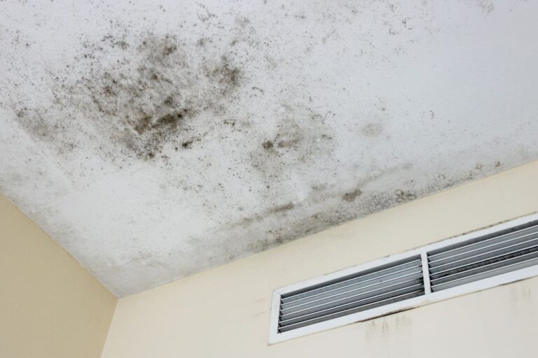 how to prevent mold and mildew in your garage